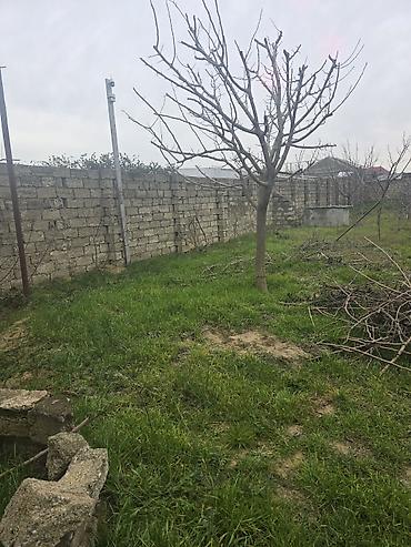 cən satisi: Sened paket kupça 8 sotda inşa olunub 3 otag aşagı mertebede,ust qatda — 4