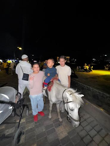 Lexus: Lexus RX: 2005 г., 3.3 л, Автомат, Гибрид, Кроссовер — 8