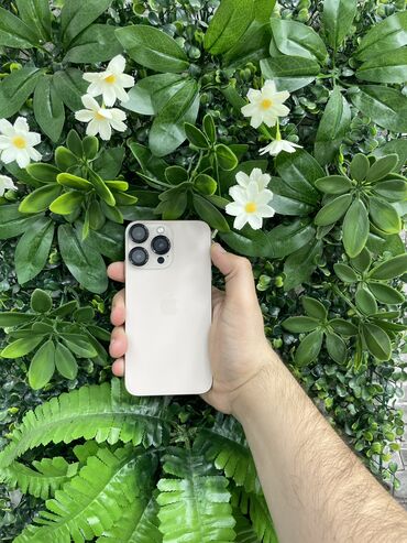 i̇phone mini: IPhone 11, 64 ГБ, Desert Titanium, Гарантия, Face ID, С документами