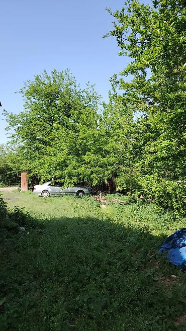 bakida satilan həyət evləri: 30 sot, Biznes üçün, Mülkiyyətçi, Kupça (Çıxarış) — 4