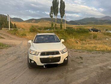 купить холодильник для машины: Chevrolet Captiva: 2011 г., 2.4 л, Автомат, Дизель, Внедорожник