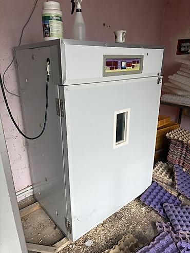 Tam avtomat