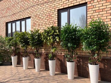 Декоративные цветы: Искусственные деревья и цветы — долговечный и стильный декор без — 20