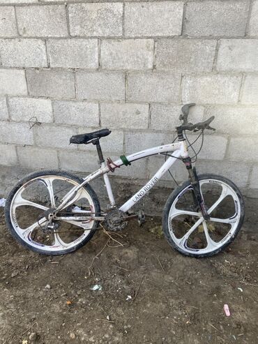 Горные велосипеды: Горный велосипед, Рама M (156 - 178 см), Сталь — 10