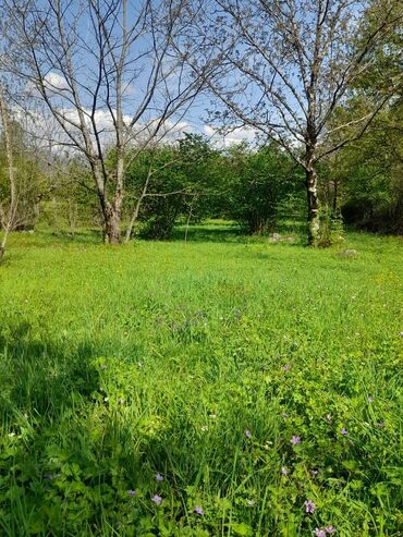 Torpaq sahələrinin satışı: 30 sot, Kənd təsərrüfatı, Mülkiyyətçi, Kupça (Çıxarış) -da lalafo.az — 12 Torpaq sahələrinin satışı: 30 sot, Kənd təsərrüfatı, Mülkiyyətçi, Kupça (Çıxarış) — 12