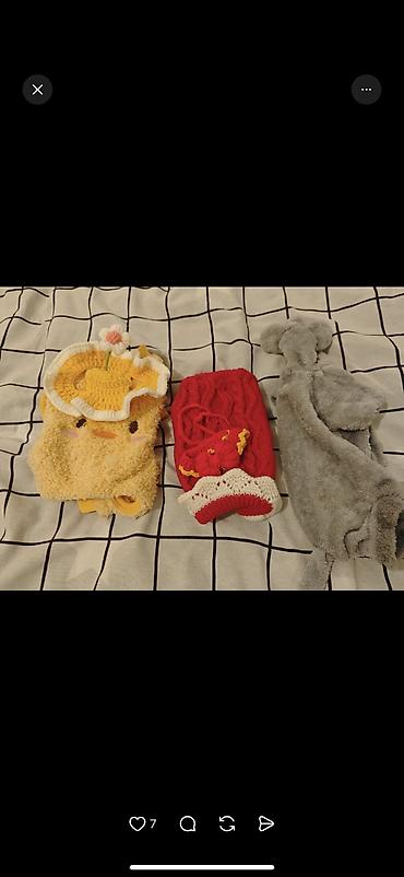 Продажа кошек: Скотиш Фолд (Шотландская вислоухая), 2 месяца, Девочка, Серый, Приучена к лотку, Проглистована, С документами — 10