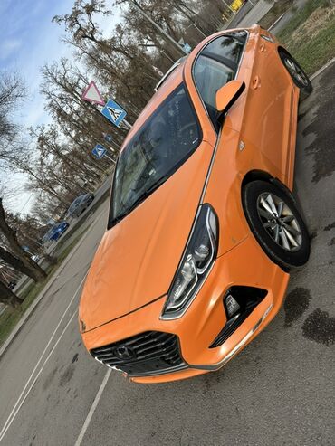Hyundai: Hyundai Sonata: 2019 г., 2 л, Автомат, Газ, Седан — 19