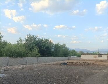 Продажа участков: 100 соток, Для сельского хозяйства, Красная книга, Тех паспорт, Договор купли-продажи — 4