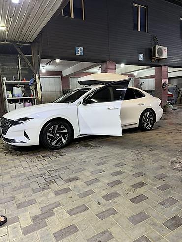 водный мото: Автобокс 500 л, Новый — 5