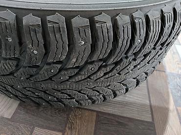 r19 24545: Шина зимняя шипованная Nokian Hakkapeliitta 9 SUV - Размер: 285/50 — 1