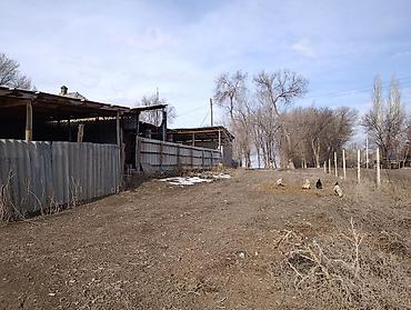 Продажа коттеджей и домов: Продаётся дом село Васильевка улица Комсомольская 221 на участке 18 — 14