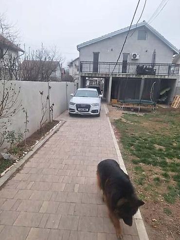 otkup trupaca: HAUBA ZA AUDI Q3 OD 2011. DO 2015. GOD. | AUDI Q3 2.0TDI QUATRO — 4