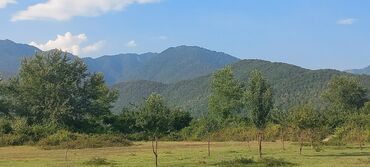 Torpaq sahələrinin satışı: 20 sot, Tikinti, Mülkiyyətçi, Kupça (Çıxarış)