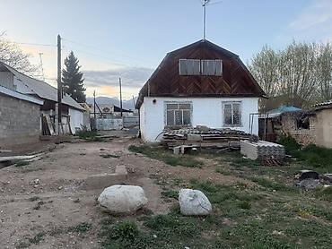 сливы пантера котедж: Продаётся участок с домом и надворными постройками. - Просторная — 2