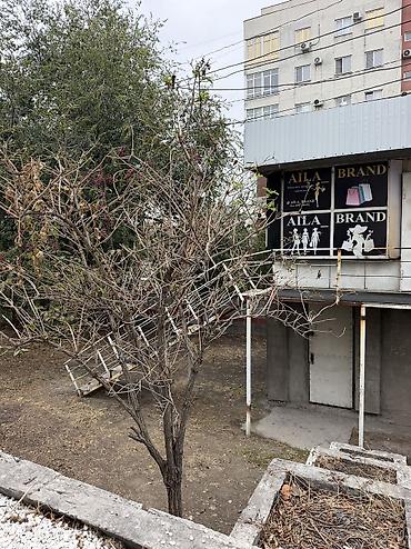 Другая одежда напрокат: Павильон 24 кв м и подвал 24 кв .м (2 этажа) получается Сноса нет — 9