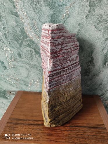 Аквариумы: Водоросли живые: Анубиас Бартера нана ( цветёт белыми и розовыми — 18