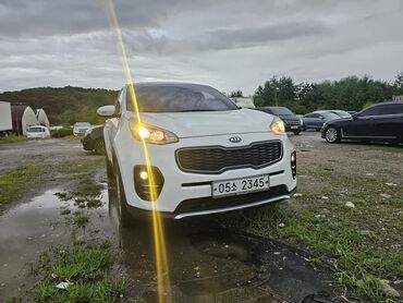 аккорд 2018: Kia Sportage: 2018 г., 2 л, Автомат, Дизель, Кроссовер