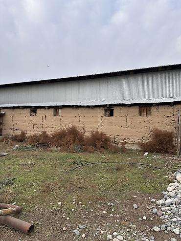 Продажа коттеджей и домов: 📍 В Романовке от трассы 600 м продается дом 29 соток, 40 кв.м. 🏡Дом — 6