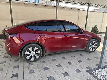 Tesla: Tesla Model Y: 2021 г., 0.1 - engine capacity л, Автомат, Электромобиль, Кроссовер — 6