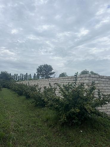 Həyət evləri və villaların satışı: 3 otaqlı, 100 kv. m, Yeni təmirli — 35