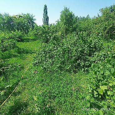 Продажа коттеджей и домов: Предлагается к продаже дом с прилегающим земельным участком. Дом — 6