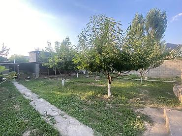 воост: Продаётся жилой дом с большим приусадебным участком и хозяйственным — 5