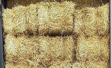 Товары и оборудование для с/х животных: Продаю 🌾 солому ячменную!
Тюки соломы, хранятся под навесом, сухие! — 1