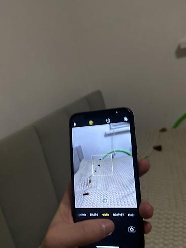 Apple iPhone: IPhone X, Б/у, 64 ГБ, Jet Black, Чехол, 100 % — 6