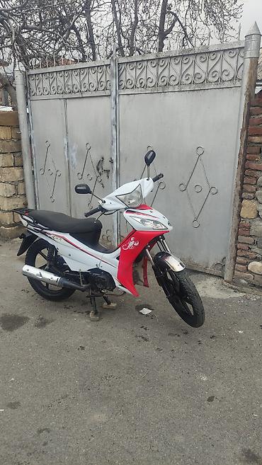 Mopedlər,skuterlər: - EGE seriyası — 15