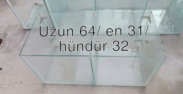 сколько стоит аквариум: Dördbucaq akvarium, Boş, 106 l, Ünvandan götürmə, Ödənişli çatdırılma