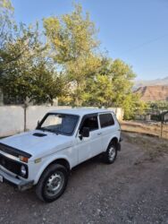 ВАЗ (ЛАДА): ВАЗ (ЛАДА) 4x4 Нива: 2005 г., 1.7 л, Механика, Бензин, Внедорожник — 10