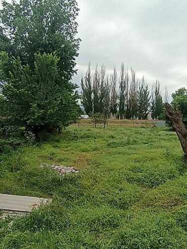 14 соток, Для строительства at lalafo.kg — 4 14 соток, Для строительства — 4