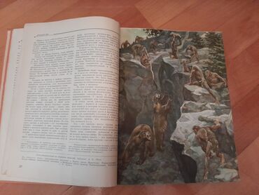 Ensiklopediyalar: Книги "Детская энциклопедия". 8 томов. Чтобы посмотреть все мои — 27