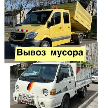 Другие животные: Вывоз мусора вывоз мусора вывоз мусора вывоз мусора вывоз вывоз Вывоз