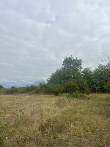 Torpaq sahələrinin satışı: 110 sot, Tikinti — 5