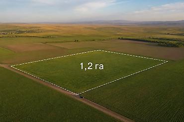 кен сай массив: 120 соток, Для сельского хозяйства — 1