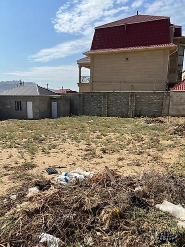 sulut: 8 sot, Mülkiyyətçi, Bələdiyyə — 7
