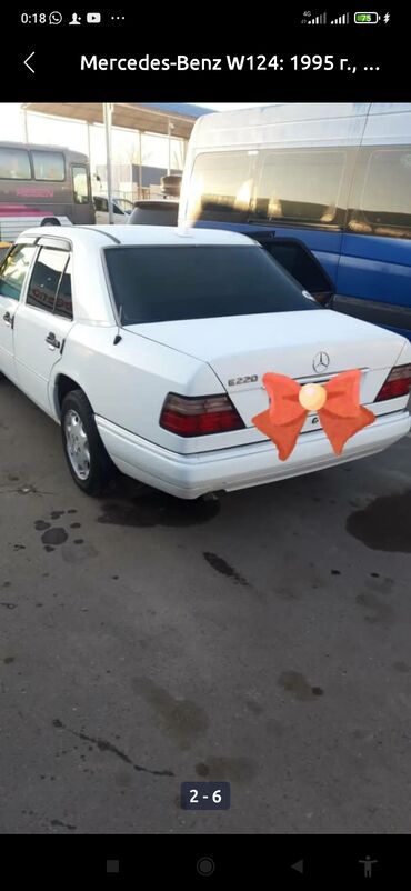 Mercedes-Benz: Mercedes-Benz W124: 1995 г., 2.2 л, Механика, Бензин, Седан