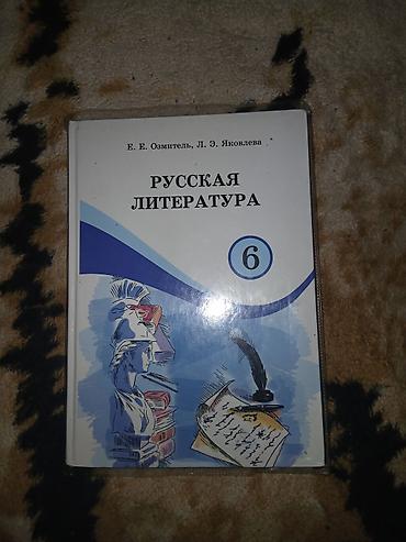 биог: Новые, почти не поношенные школьные учебники по физике и литературе — 6