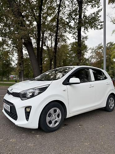 morning: Kia Picanto: 2019 г., 1 л, Автомат, Бензин, Хэтчбэк — 3