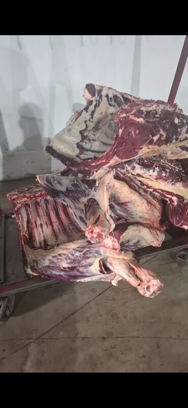 продам соль: Говядина : Более 10 кг, Самовывоз, Бесплатная доставка, Платная доставка