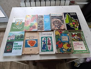 Другие книги и журналы: Подборка книг и материалов разной тематики.Книги по школьной — 21