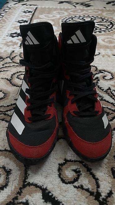 loro pian: Мужские кроссовки, 38.5, Adidas, Новый, цвет - Черный — 3