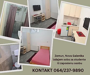 nekretnine oglas: Zemun, Nova Galenika, izdajem sobu Zemun, naselje Nova Galenika — 1