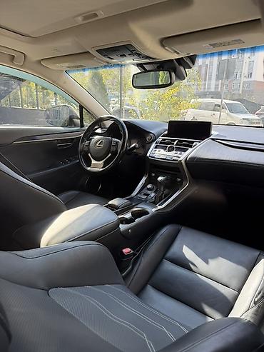 lexus nx: Lexus NX: 2019 г., 0.2 л, Автомат, Бензин, Кроссовер — 10