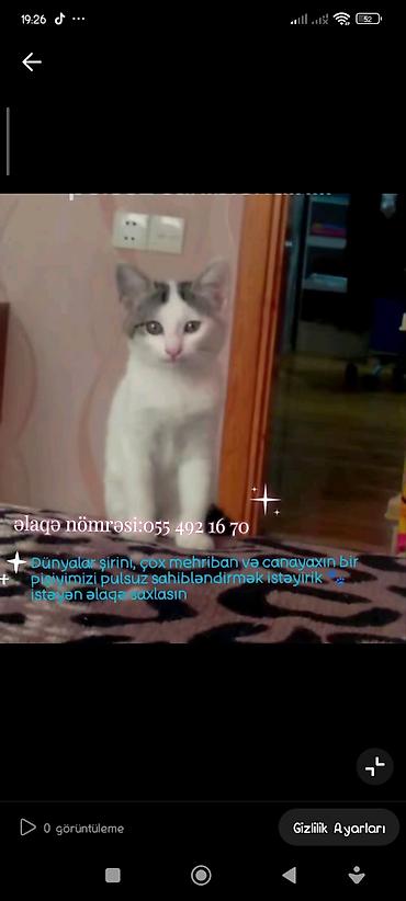 Yaxşı əllərə lalafo.az -da Yaxşı əllərə