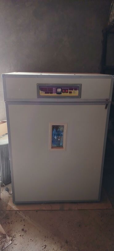 İnkubatorlar: 1100 yumurta, Çin, Tam avtomat — 1