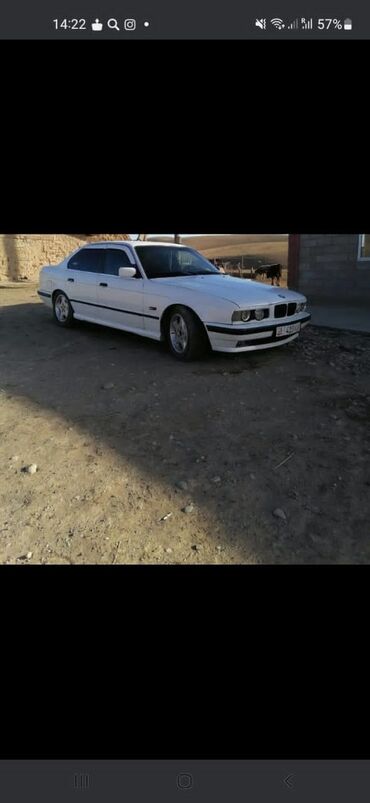 BMW: BMW 5 series: 1994 г., 2.5 л, Механика, Бензин