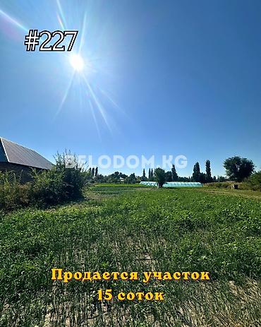 15 соток