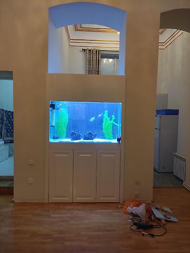 sobo wp 6001: Akvariumların və dolabların hazırlanması üçün müraciət edə bilərsiz — 8